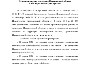 Правительство Нижегородской области выпустило постановление "Об установлении на территории Нижегородской области особого противопожарного режима".